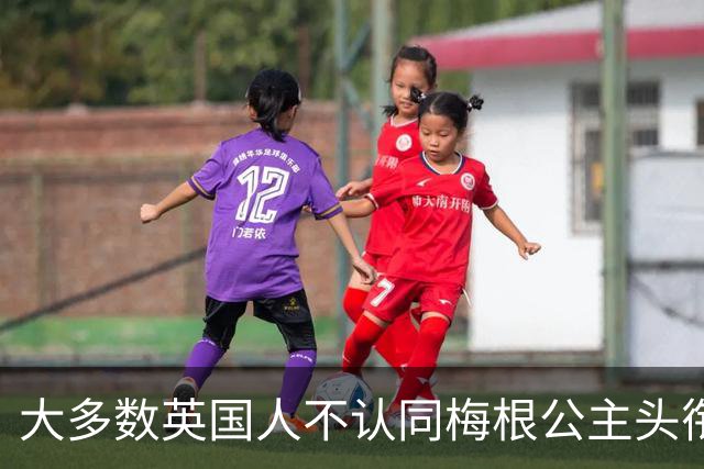 大多数英国人不认同梅根公主头衔，民调结果引发热议